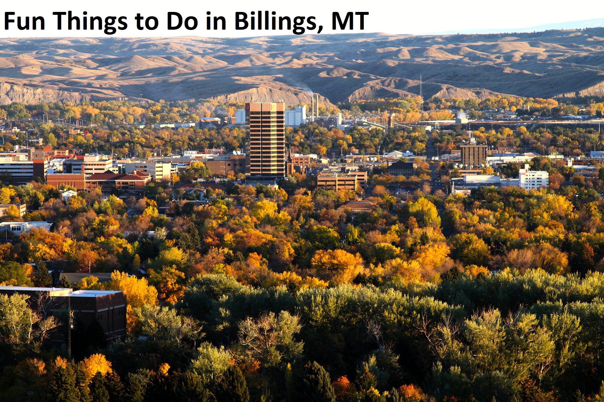 Things To Do In Billings Mt With Kids Kids Matttroy